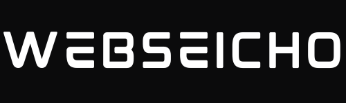 WEBSEICHO - Best Digital Marketing Agency in Nangloi Logo